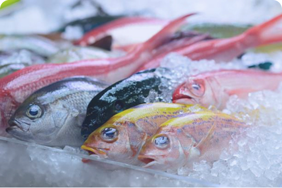 太陽光パネル洗浄