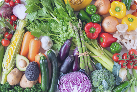 太陽光パネル洗浄